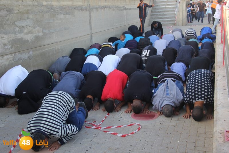 kora ludj 3151 (15).JPG